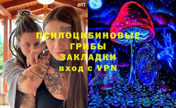 прущие крисы Алексин