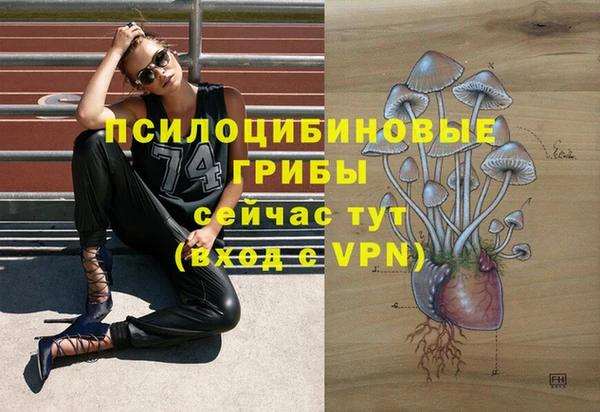 прущие крисы Алексин