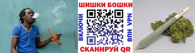 Конопля ГИДРОПОН  где продают наркотики  Ладушкин 